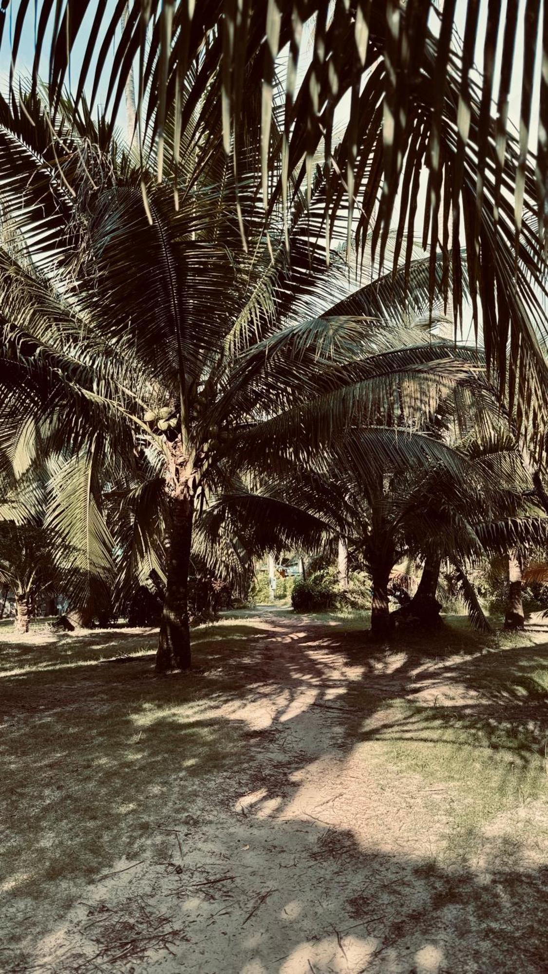 Suan Maprao Ko Kut Resort Luaran gambar